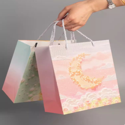 Bolsa de regalo varios colores