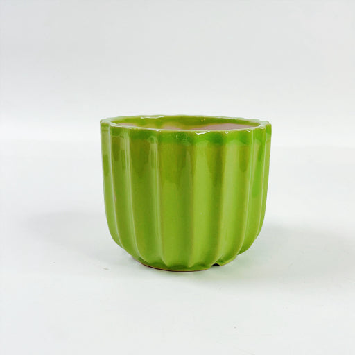 Mini macetero (sin soporte)