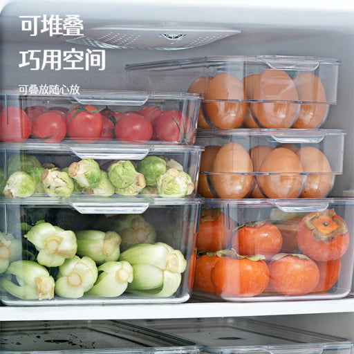 Caja de conservación congelada