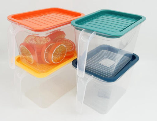 Caja de conservación con asa (pequeña)