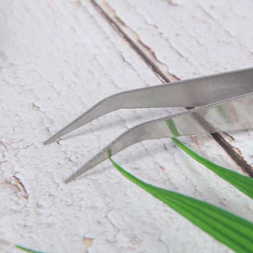 Juego de pinzas de dos piezas