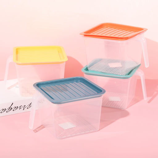 Caja de conservación con asa (grande)