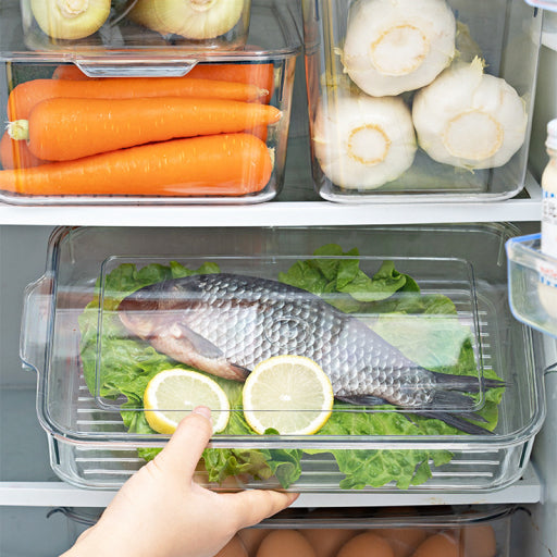 Caja de conservación congelada