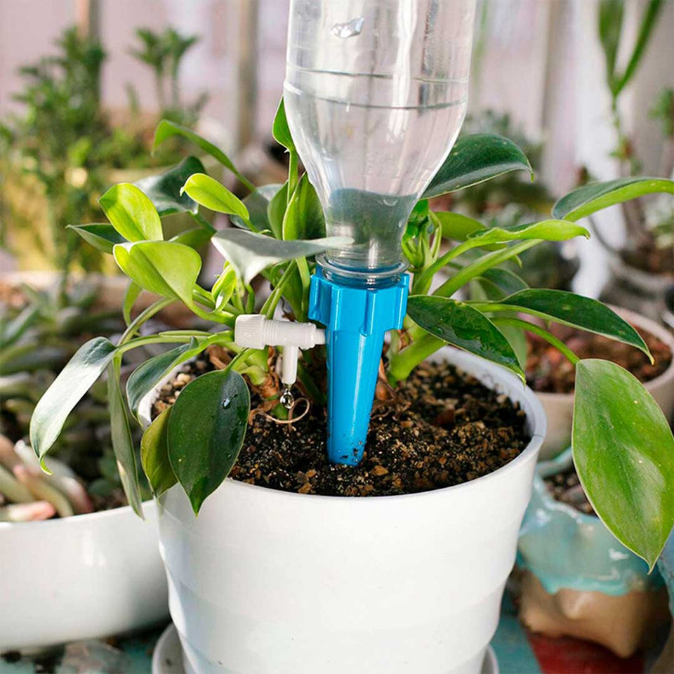 Dosificador de agua para plantas