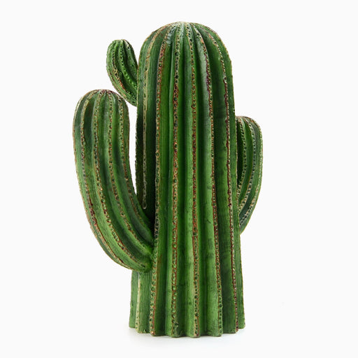 Cactus cilíndrico simulado.