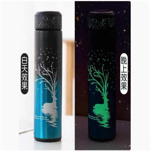 Botella de agua térmica