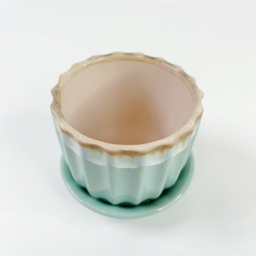 Mini macetero (con soporte)