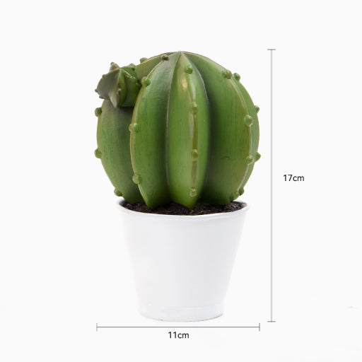 Péndulo de cactus emulado
