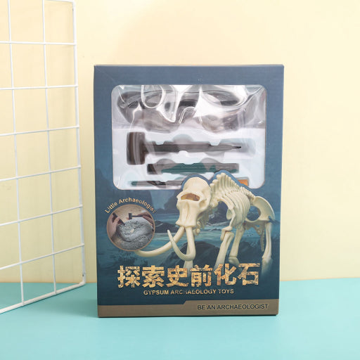 Juguete arqueología de fósiles prehistóricos