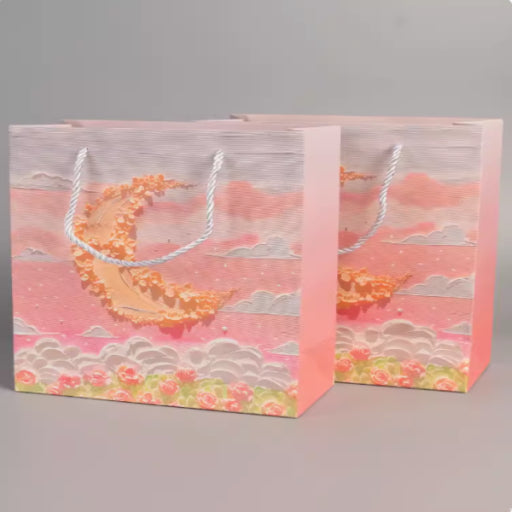 Bolsa de regalo varios colores