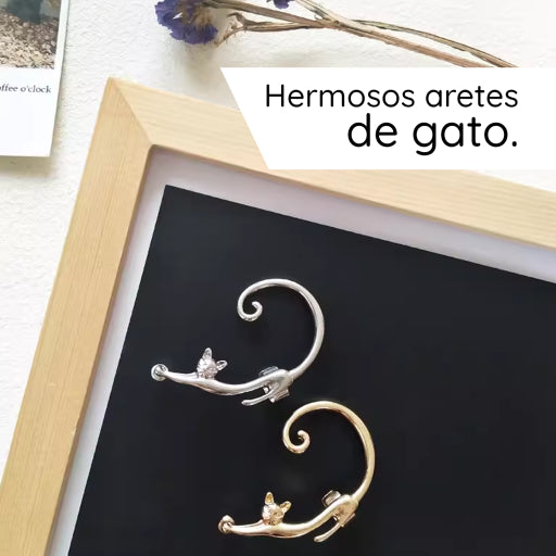 Hermosos aretes de gato