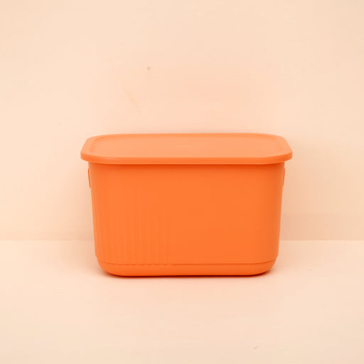 Caja de almacenamiento a prueba de polvo con tapa