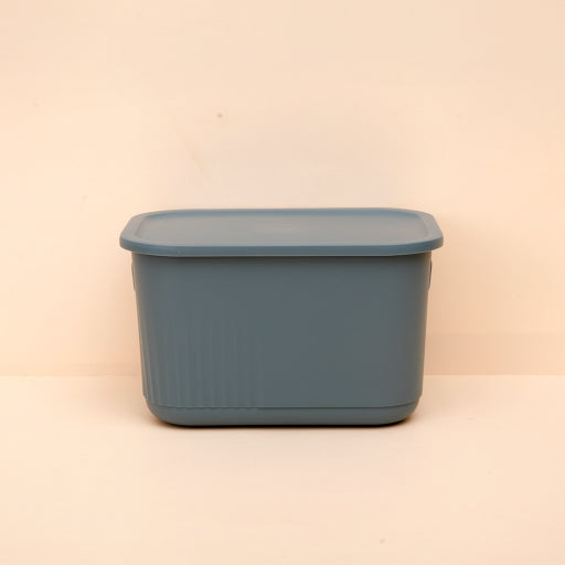 Caja de almacenamiento a prueba de polvo con tapa