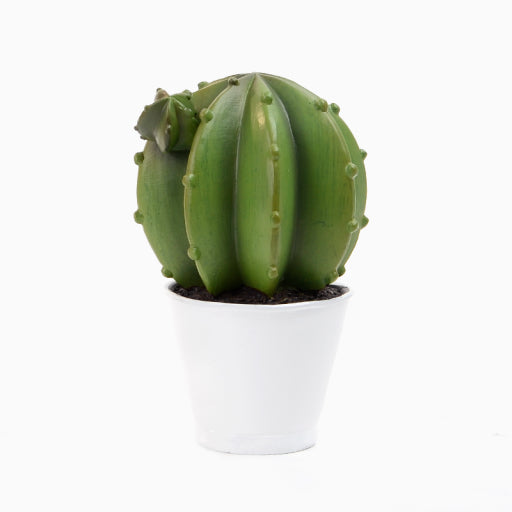 Péndulo de cactus emulado