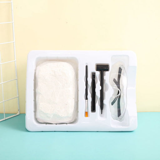 Juguete arqueología de fósiles prehistóricos