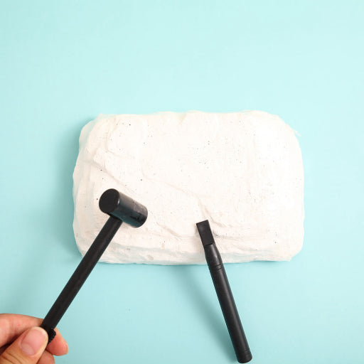 Juguete arqueología de fósiles prehistóricos