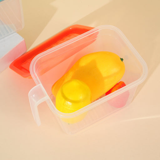 Caja de conservación con asa (pequeña)