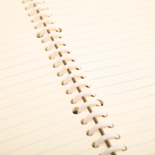 Cuaderno de espiral A5 capibara