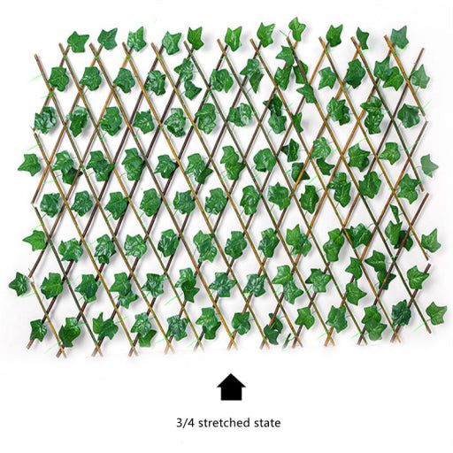 Enredadera para pared