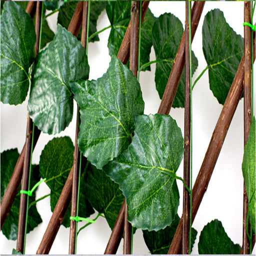 Enredadera para pared