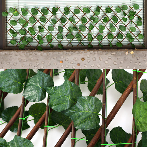 Enredadera para pared