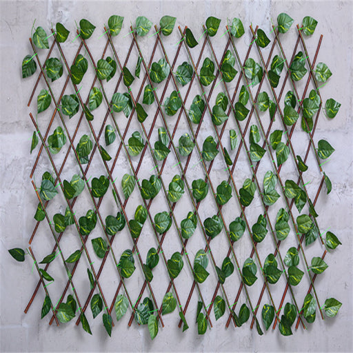 Enredadera para pared